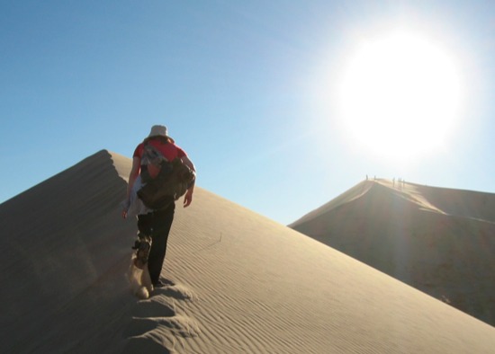 Climbing dune