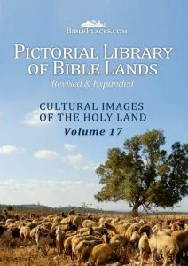 pictorial-library-cultural-images-of-the-holy-land