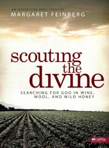 scouting-divine