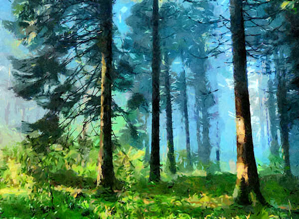 forest 2