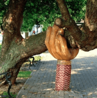 Holding up Tree