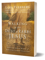 Walking In the Dust 3-D Cover